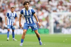 开云体育APP下载-埃弗顿客场大胜布莱顿，士气大振