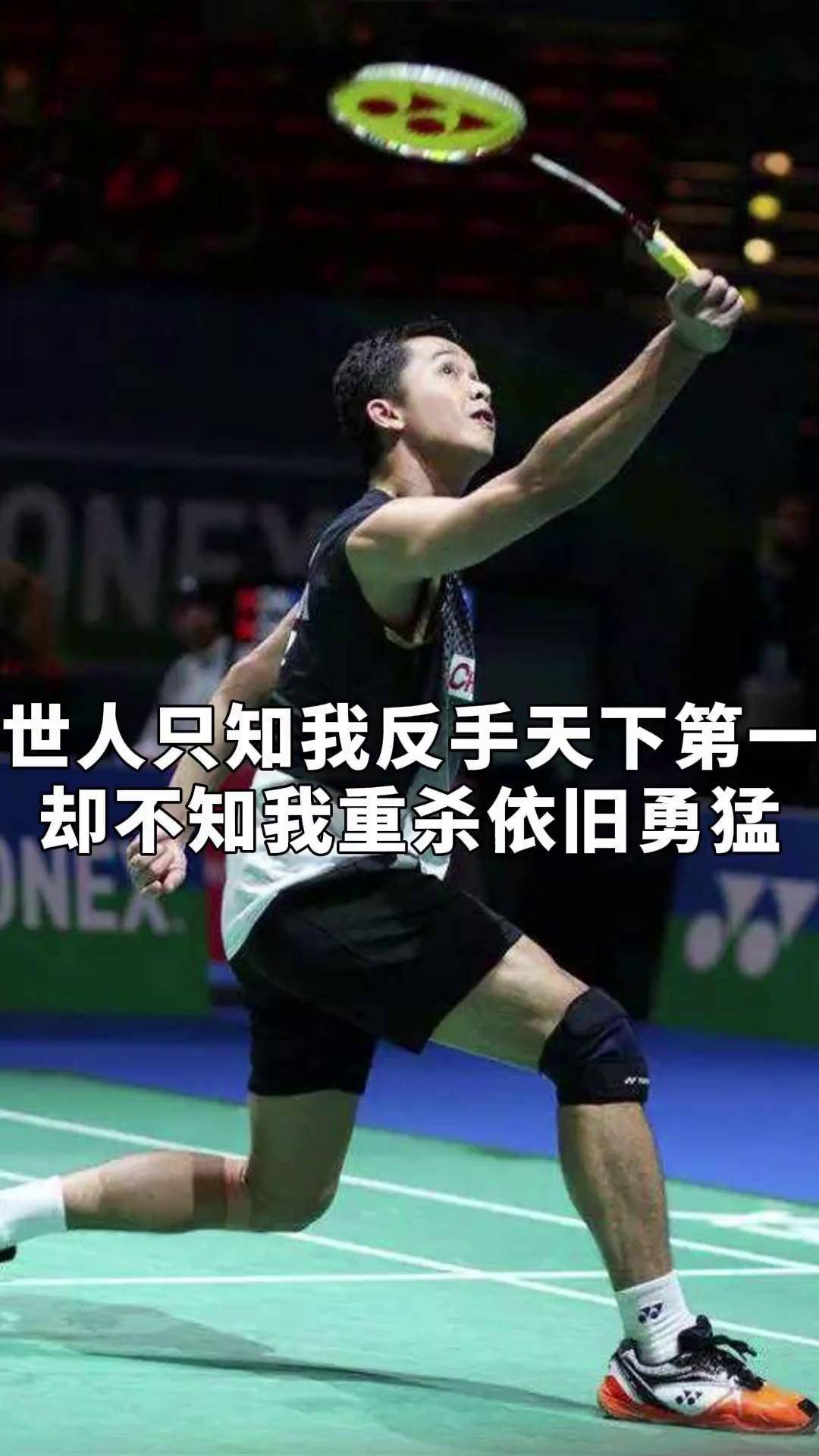 关于中国羽毛球队血洗韩国羽毛球队，陶菲克惊艳世界的信息